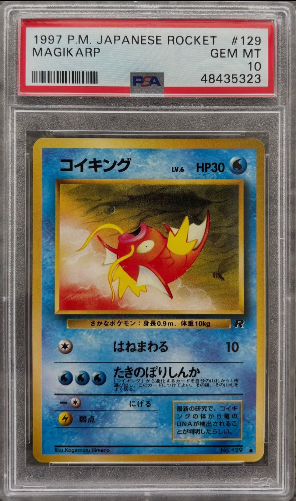 たねポケモン コイキング